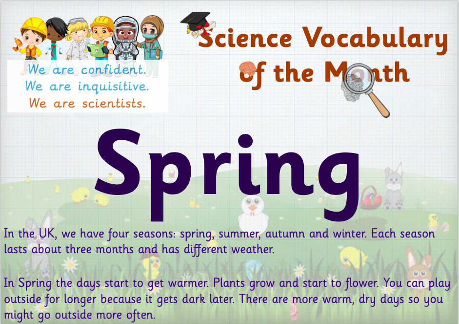 spring